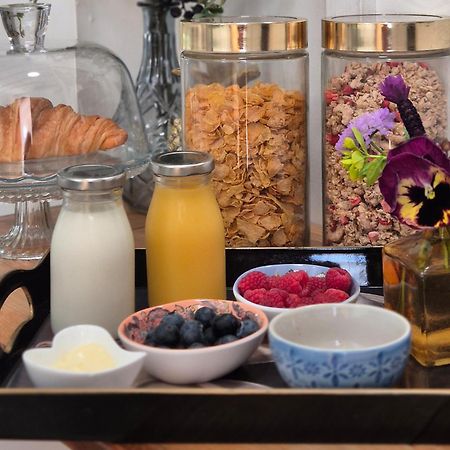 Owl Lodge 뉴포트 파그넬 외부 사진